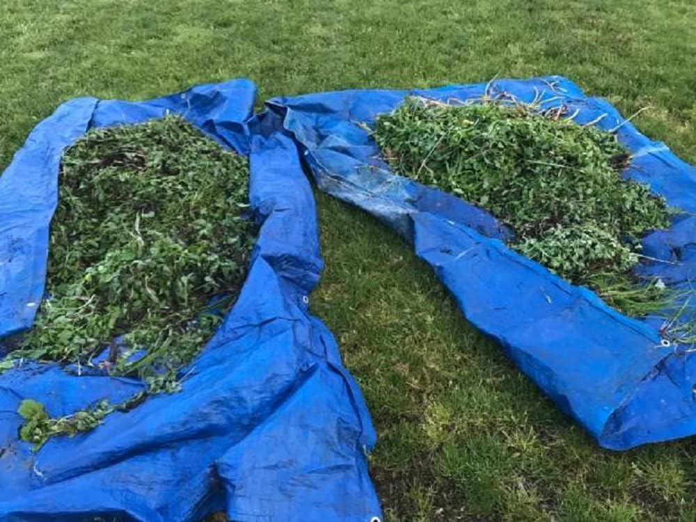 ProDec 12ft x 9ft / 3.7m x 2.7m Multi Purpose Tarpaulin - Waterproof, Weatherproof, Double Laminated