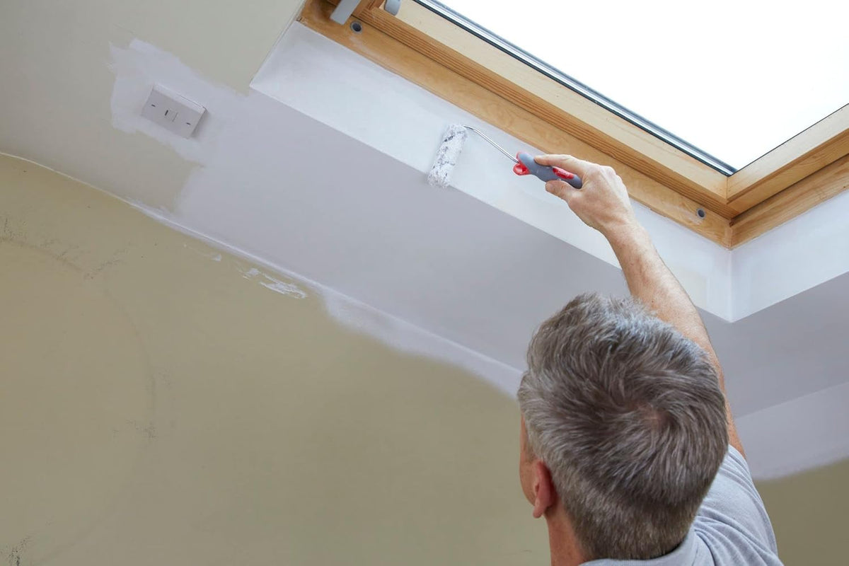 ProDec Advance 2 Pack 4 inch Medium Pile Microfibre Mini Paint Rollers for a Smooth Finish Painting