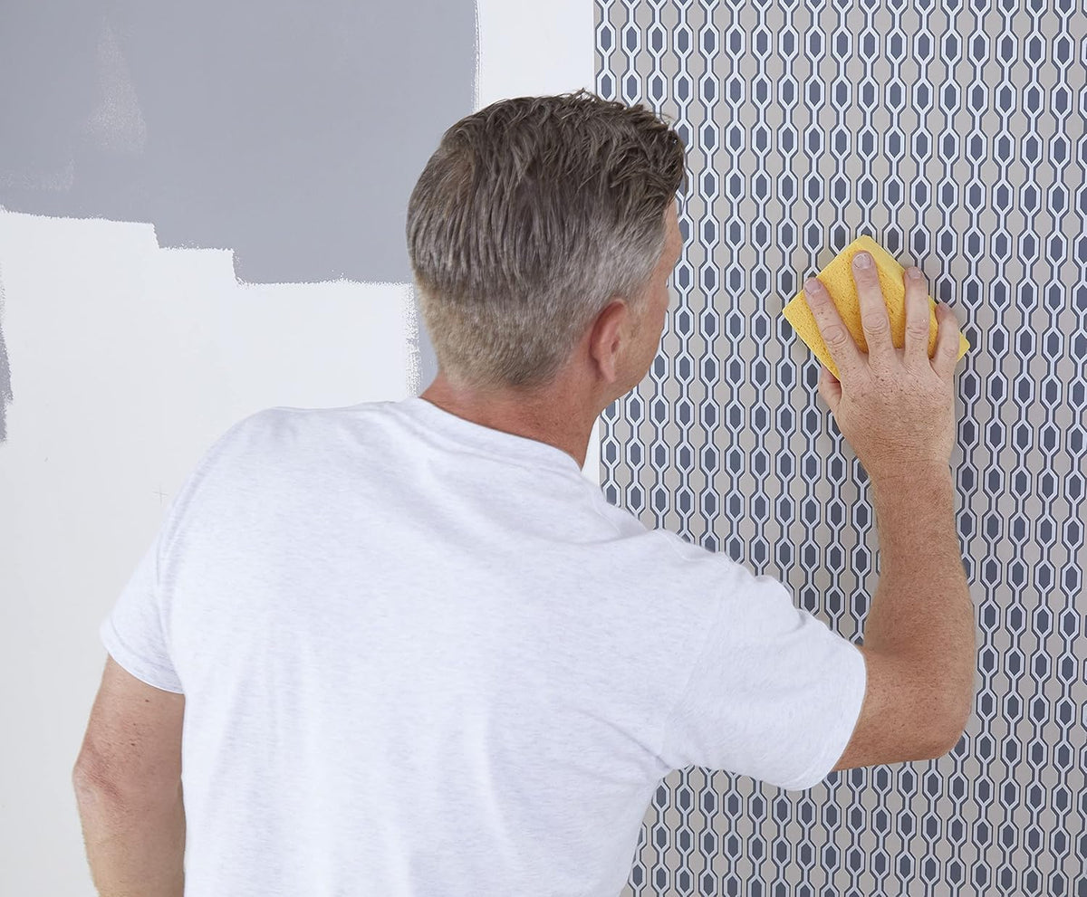 ProDec Super Absorbent Cellulose Sponge Holds 20x Its Weight in Water, Ideal for Decorating, Wallpaper Hanging