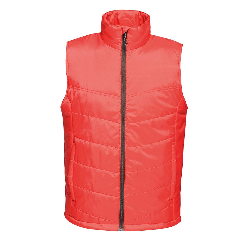 Regatta Men&#39;s Insulated Bodywarmer in Red TRA831